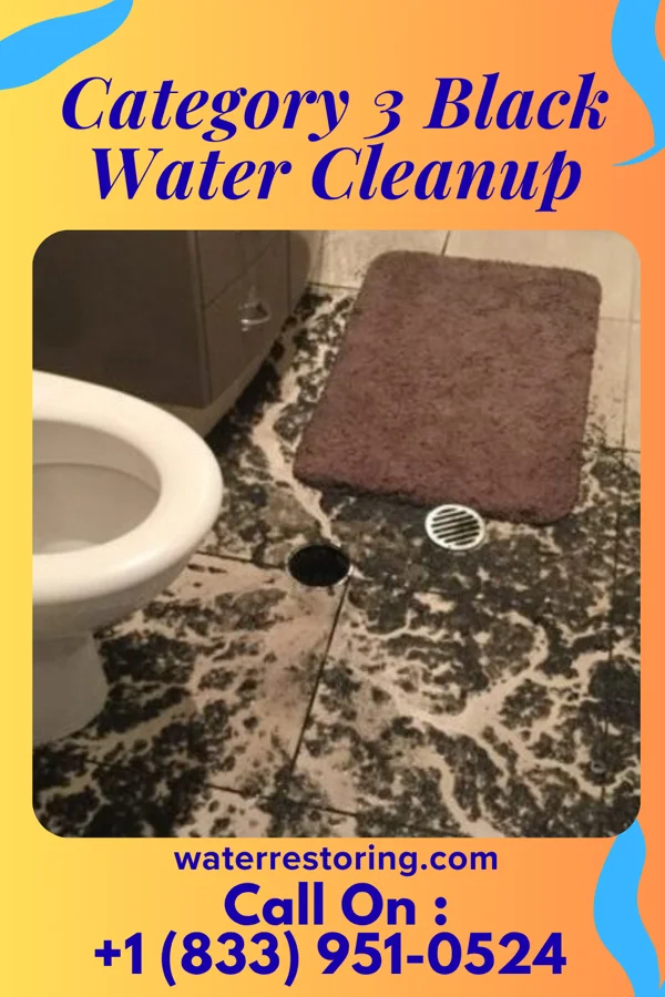 Category 3 Black Water Cleanup in Clio, SC